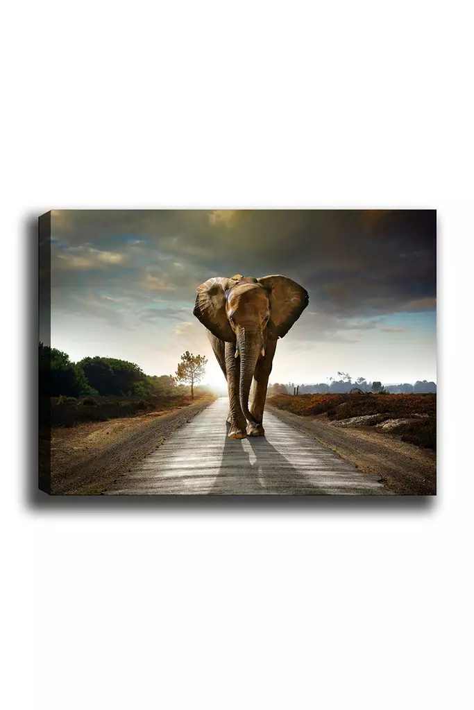 Monivärinen 70x100 cm Koristeellinen Canvas-taulu Puisella Kehyksellä - Tyylikäs Sisustuselementti Kotiin ja Toimistoon - Taulut ja kehykset - 8681875612448 - 1