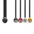 DIN Audiokaapeli | DIN 5-Pin uros | 4x RCA-naaras | Niklattu | 0.20 m | Pyöreä | PVC | Musta | Label - Audiokaapelit - 5412810419869 - 10