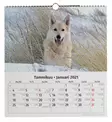 Iso sein=C3=A4kalenteri koirat tuotekuva 2 - Kalenterit - 6429810296009 - 3