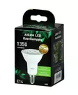 Led kasvilamppu Airam PAR20 835=20 - Lamput ja loisteputket - 6435200235299 - 2