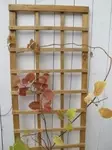 Ruutusäleikkö 30 x 180 cm - Muut puutarhatarvikkeet - 6430040625859 - 1