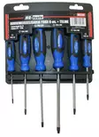 Ruuvimeisselisarja torx 6-os p=C3=A4=C3=A4kuva=20 - Ruuvimeisselit - 6430074690809 - 1