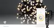 SmartLife Jouluvalot | Nauha | Wi-Fi | Lämmin Valkoinen | 200 LED's | 20.0 m | Android / IOS - Koristevalot - 5412810404209 - 90
