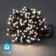 SmartLife Jouluvalot | Nauha | Wi-Fi | Lämmin Valkoinen | 200 LED's | 20.0 m | Android / IOS - Koristevalot - 5412810404209 - 1