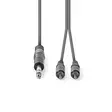 Stereoäänikaapeli | 6.35 mm uros | 2x RCA uros | Niklattu | 1.50 m | Pyöreä | Tummanharmaa | Pahvikotelo - Audiokaapelit - 5412810295319 - 10