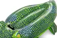 Uimalelu Kroko 152 cm - Vesilelut - 6941607312209 - 4