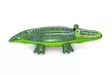 Uimalelu Kroko 152 cm - Vesilelut - 6941607312209 - 2