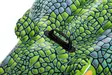 Uimalelu Kroko 152 cm - Vesilelut - 6941607312209 - 7