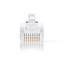 RJ45-liitin | Uros | Solid UTP CAT5e | Suora | Kullattu | 10 kpl | Polycarbonate | Läpikuultava | Laatikko - Tietokone ja verkko - 5412810289349 - 3
