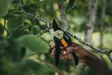Ohileikkaavat oksasakset Fiskars Solid - Puutarhatyökalut - 6411501111029 - 3