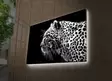 Koristeellinen LED-valaistu Suede Canvas Taulu 45x70 cm - Monivärinen, Puukehys, Anonyymi Taiteilija - Taulut ja kehykset - 8681181296929 - 4