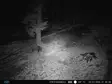 PNI Hunting 400C PRO 24MP metsästyskamera, jossa 4G LTE Internet, GPS, lähettää samanaikaisesti videota ja valokuvaa puhelimeen, 4 sähköpostia, FTP, Full HD 1080P, Night Vision, 59 näkymätöntä LEDiä e - PNI tuotteet - 5949066528019 - 4