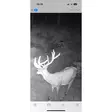 PNI Hunting 400C PRO 24MP metsästyskamera, jossa 4G LTE Internet, GPS, lähettää samanaikaisesti videota ja valokuvaa puhelimeen, 4 sähköpostia, FTP, Full HD 1080P, Night Vision, 59 näkymätöntä LEDiä e - PNI tuotteet - 5949066528019 - 30