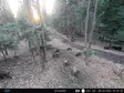 PNI Hunting 400C PRO 24MP metsästyskamera, jossa 4G LTE Internet, GPS, lähettää samanaikaisesti videota ja valokuvaa puhelimeen, 4 sähköpostia, FTP, Full HD 1080P, Night Vision, 59 näkymätöntä LEDiä e - PNI tuotteet - 5949066528019 - 27