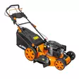 Ruohonleikkuri itsevetävä, leikkuuleveys 55cm, keräävä, silppuava, sivulle heittävä - Työnnettävät ruohonleikkurit - 6438168120959 - 1