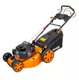 Ruohonleikkuri itsevetävä, leikkuuleveys 55cm, keräävä, silppuava, sivulle heittävä - Työnnettävät ruohonleikkurit - 6438168120959 - 3