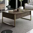 Sohvapöytä - Huonekalut, Pähkinä Kulta, 100% Melamiinipinnoitettu Lastulevy, Metallijalat, 90x60x40 cm, 1 Paketti - Sohvapöydät - 8683743791149 - 2