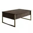 Sohvapöytä - Huonekalut, Pähkinä Kulta, 100% Melamiinipinnoitettu Lastulevy, Metallijalat, 90x60x40 cm, 1 Paketti - Sohvapöydät - 8683743791149 - 1