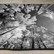 Ylellinen 80x120 cm Samettimatto - Monivärinen, Antibakteerinen, Konepestävä, Liukumaton, 3D Digitaalipainatus - Pienet matot ja käytävämatot - 8681875964189 - 5