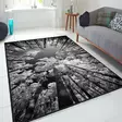 Ylellinen 80x120 cm Samettimatto - Monivärinen, Antibakteerinen, Konepestävä, Liukumaton, 3D Digitaalipainatus - Pienet matot ja käytävämatot - 8681875964189 - 2