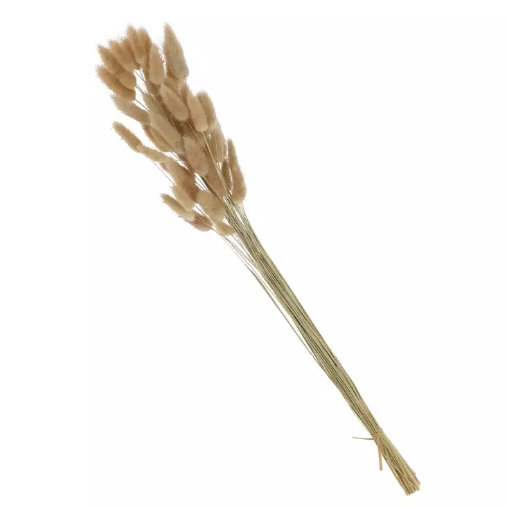 Jänönhäntä 65 cm Natur - Koristeet, koriste-esineet - 8720573735919 - 1