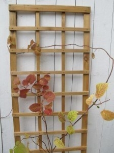 Ruutusäleikkö 30 x 180 cm - Muut puutarhatarvikkeet - 6430040625859 - 1
