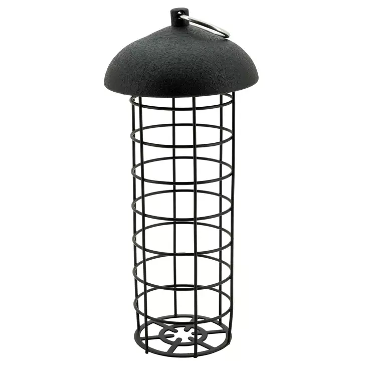 Talipallosyötin Visertäjä - Lintujen ruokinta - 6438168111179 - 1